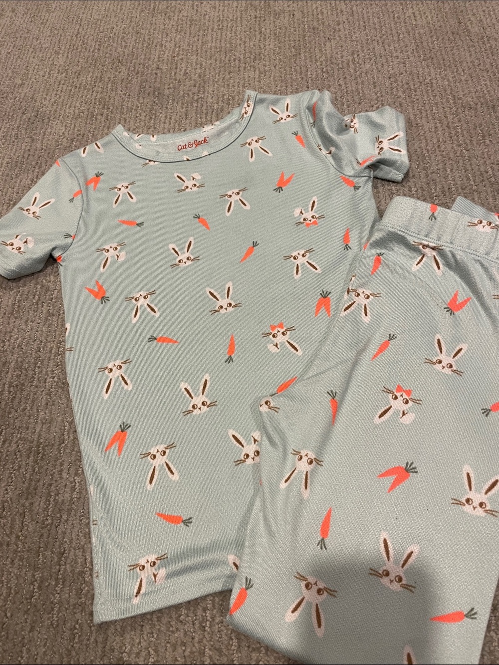 Cat & Jack Mint Bunny and Carrot Kids Pajama Set